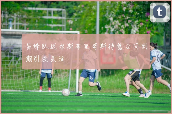 黄蜂队迈尔斯布里奇斯待售合同到期引发关注