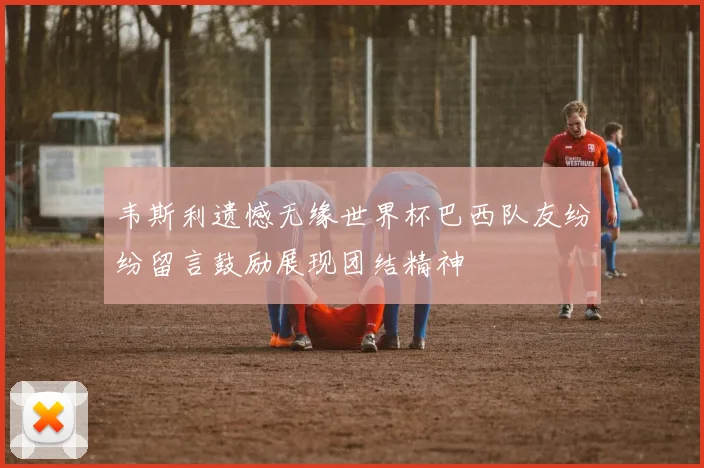 韦斯利遗憾无缘世界杯巴西队友纷纷留言鼓励展现团结精神