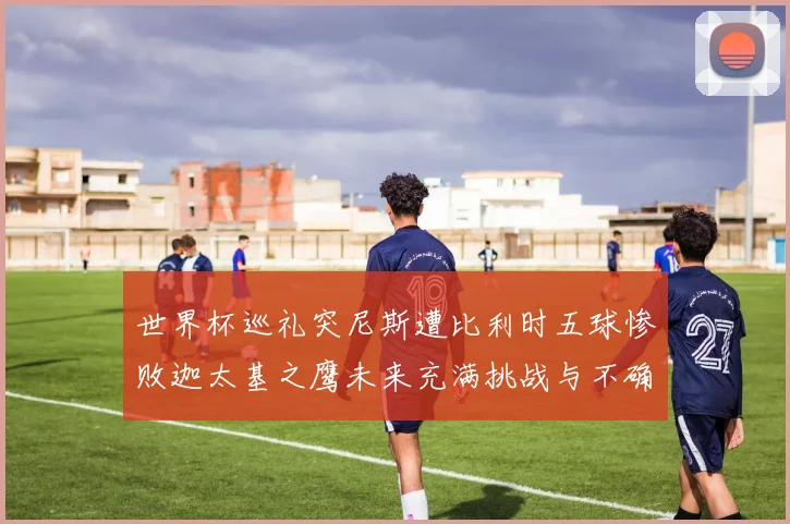 世界杯巡礼突尼斯遭比利时五球惨败迦太基之鹰未来充满挑战与不确定性